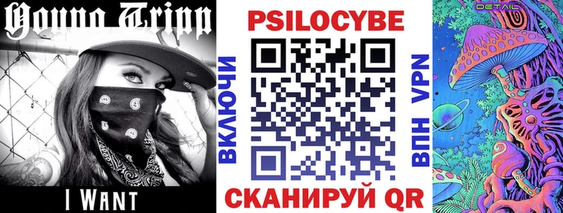 Купить  Сим  Псилоцибиновые грибы мицелий 